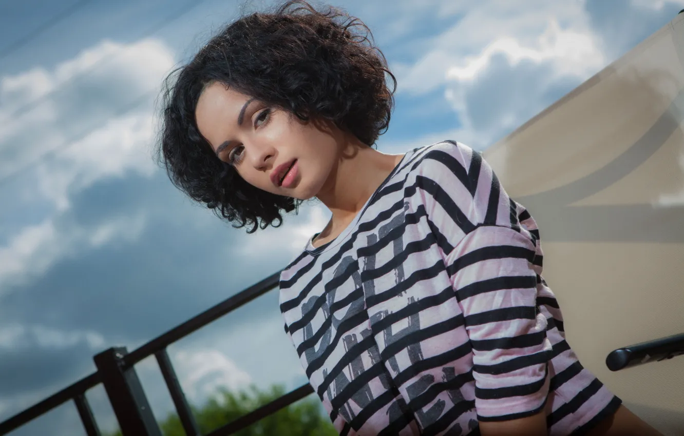 Фото обои взгляд, секси, брюнетка, футболка, Pammie Lee