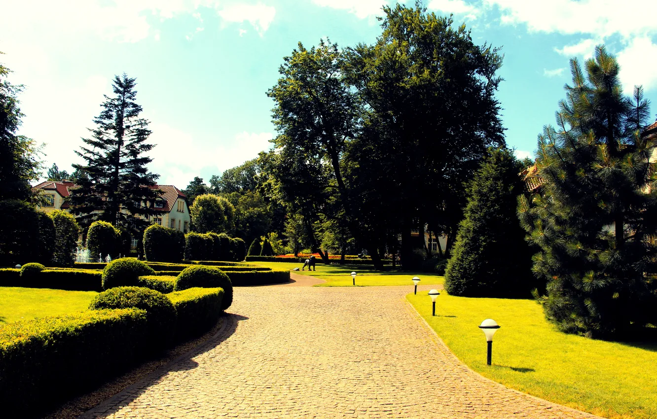 Фото обои trees, park, alley