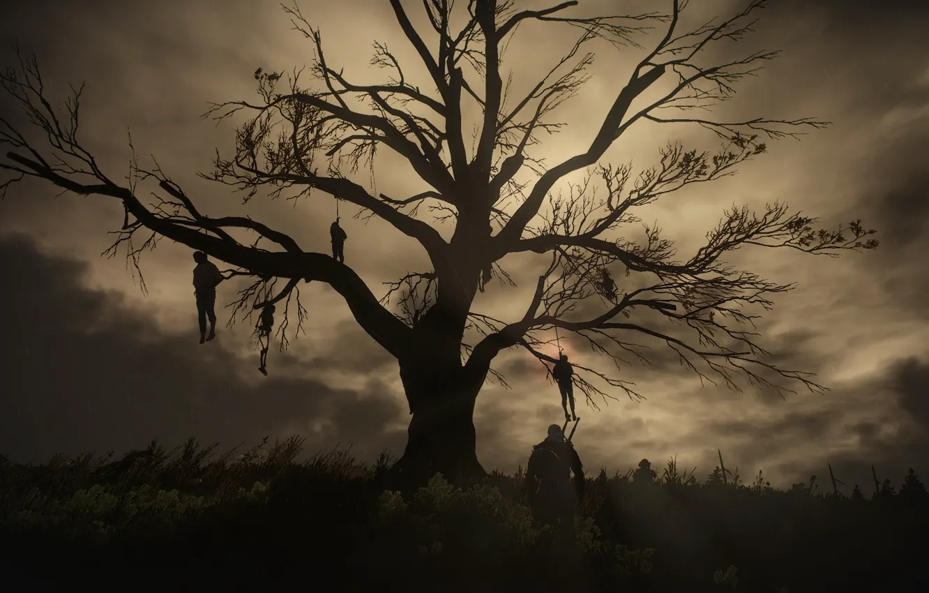 Фото обои ночь, дерево, Ведьмак, висельники, The Witcher 3:Wild Hunt
