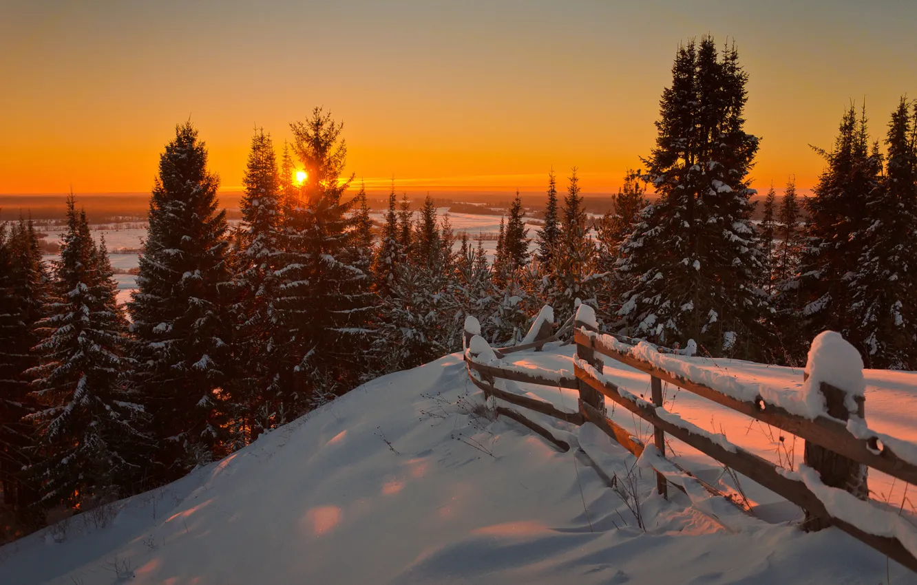 Фото обои Nature, Winter, Landscape, Sun, Snow, Sunrise, Firs