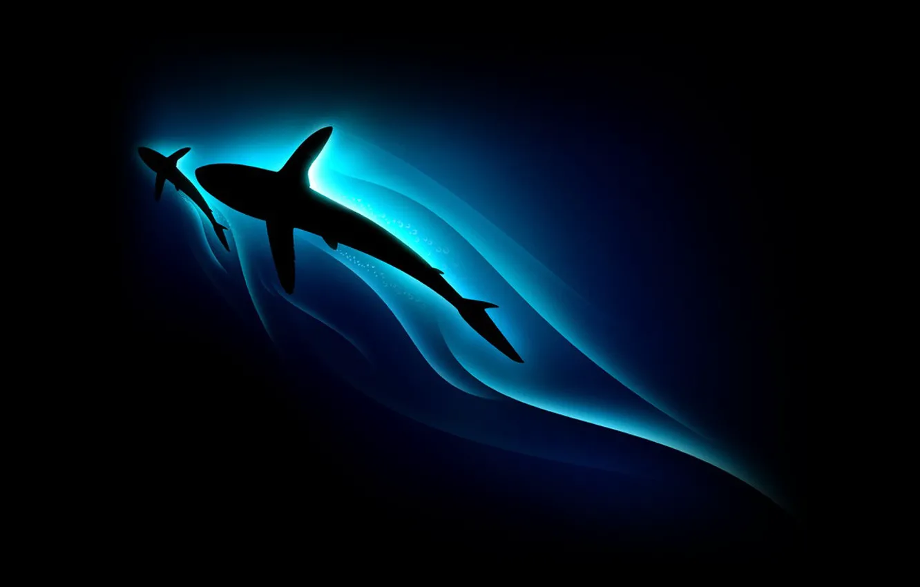 Фото обои синий, минимализм, акула, силуэт