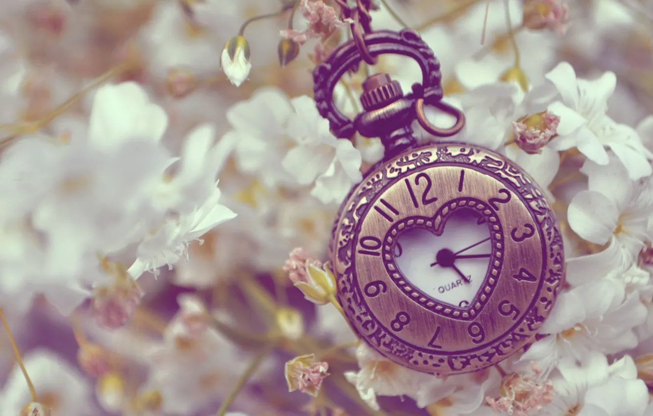 Фото обои цветы, металл, часы, белые, сердечко, карманные
