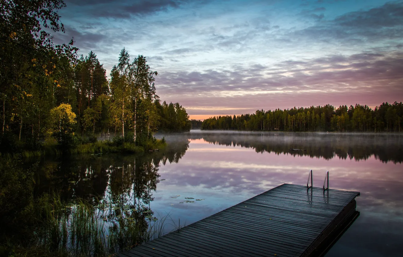 Фото обои лес, туман, озеро, утро, Финляндия