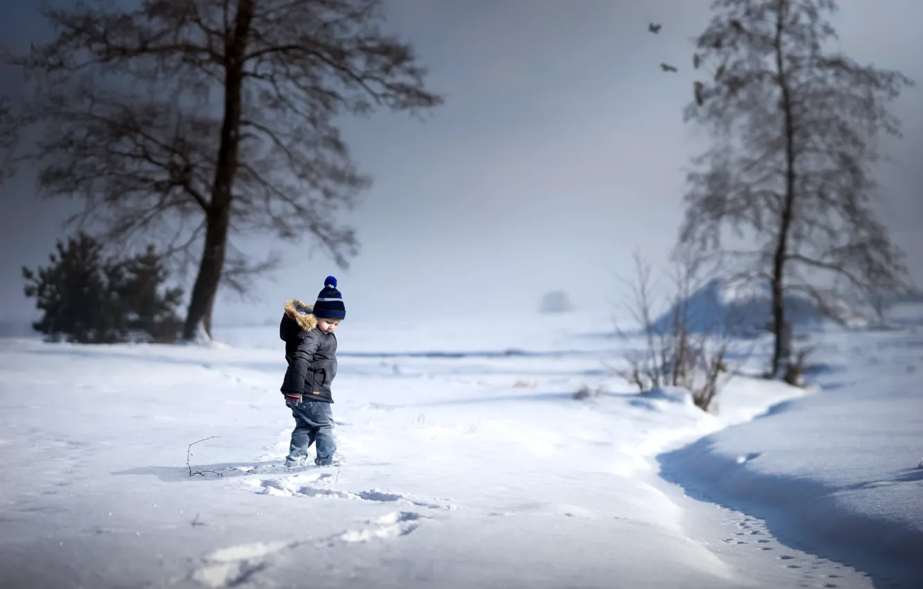 Фото обои зима, снег, мальчик