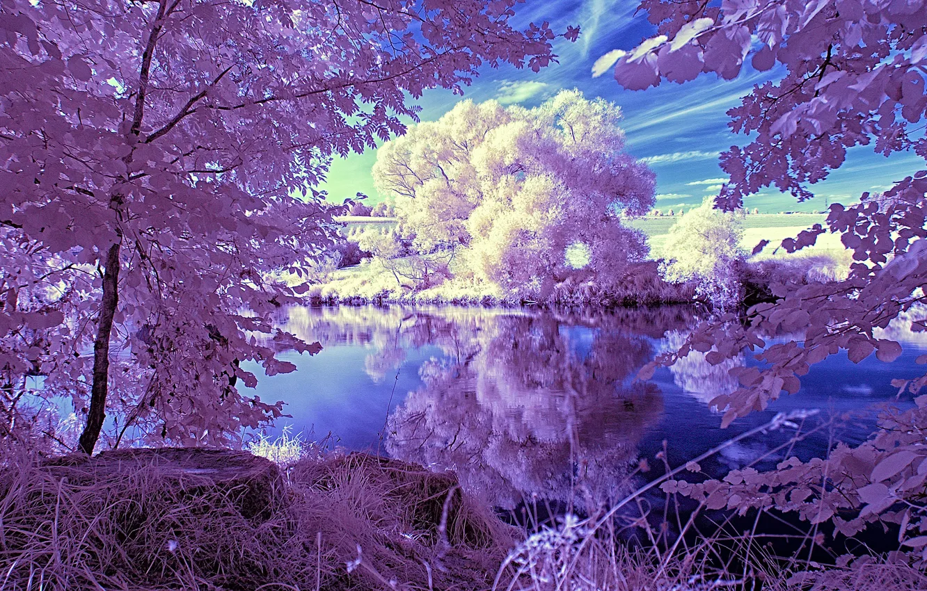 Фото обои небо, облака, деревья, пейзаж, озеро