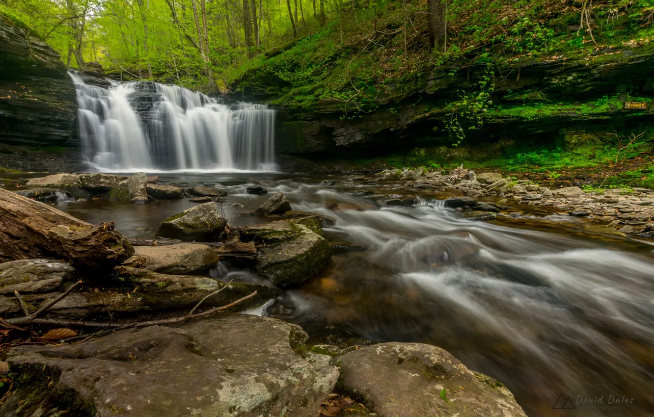 Фото обои лес, камни, водопад, речка, Пенсильвания, каскад, Pennsylvania, Ricketts Glen State Park