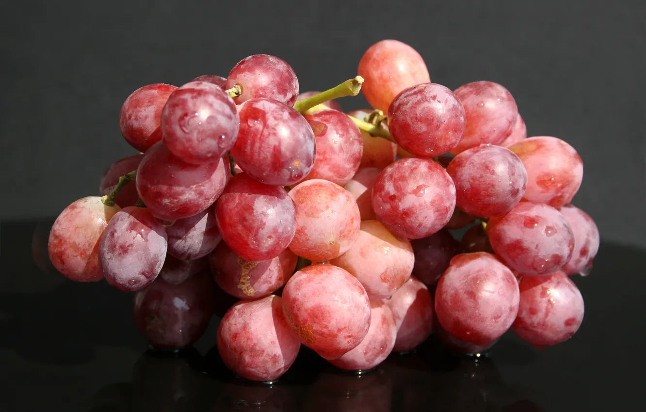 Фото обои вода, виноград, гроздь