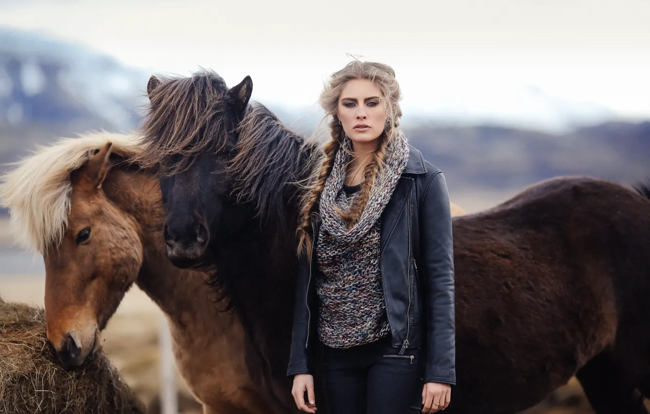 Фото обои девушка, настроение, конь