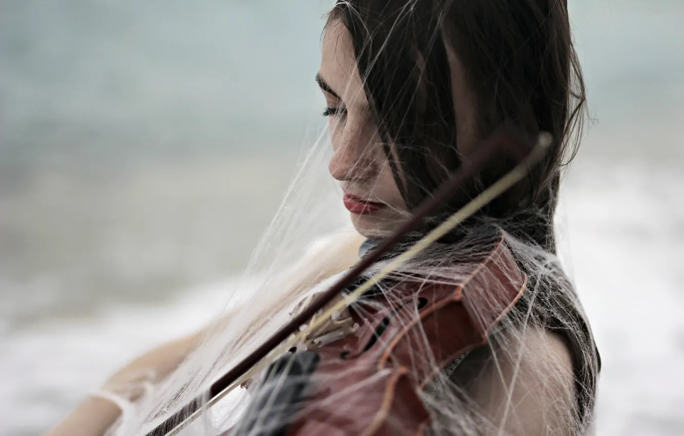 Фото обои девушка, скрипка, паутина