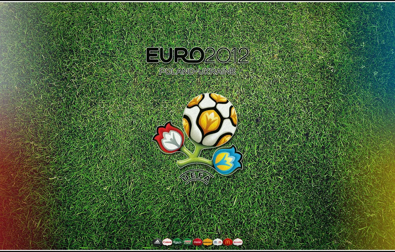 Фото обои газон, футбол, спорт, евро2012