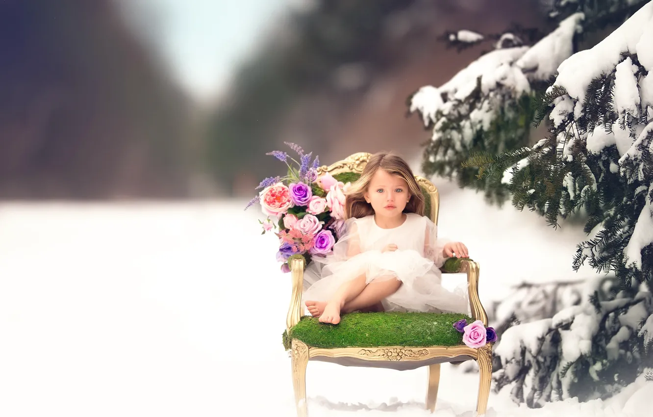 Фото обои снег, цветы, ель, девочка, Meg Bitton