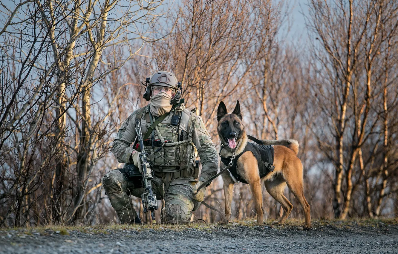 Фото обои оружие, собака, армия, солдат