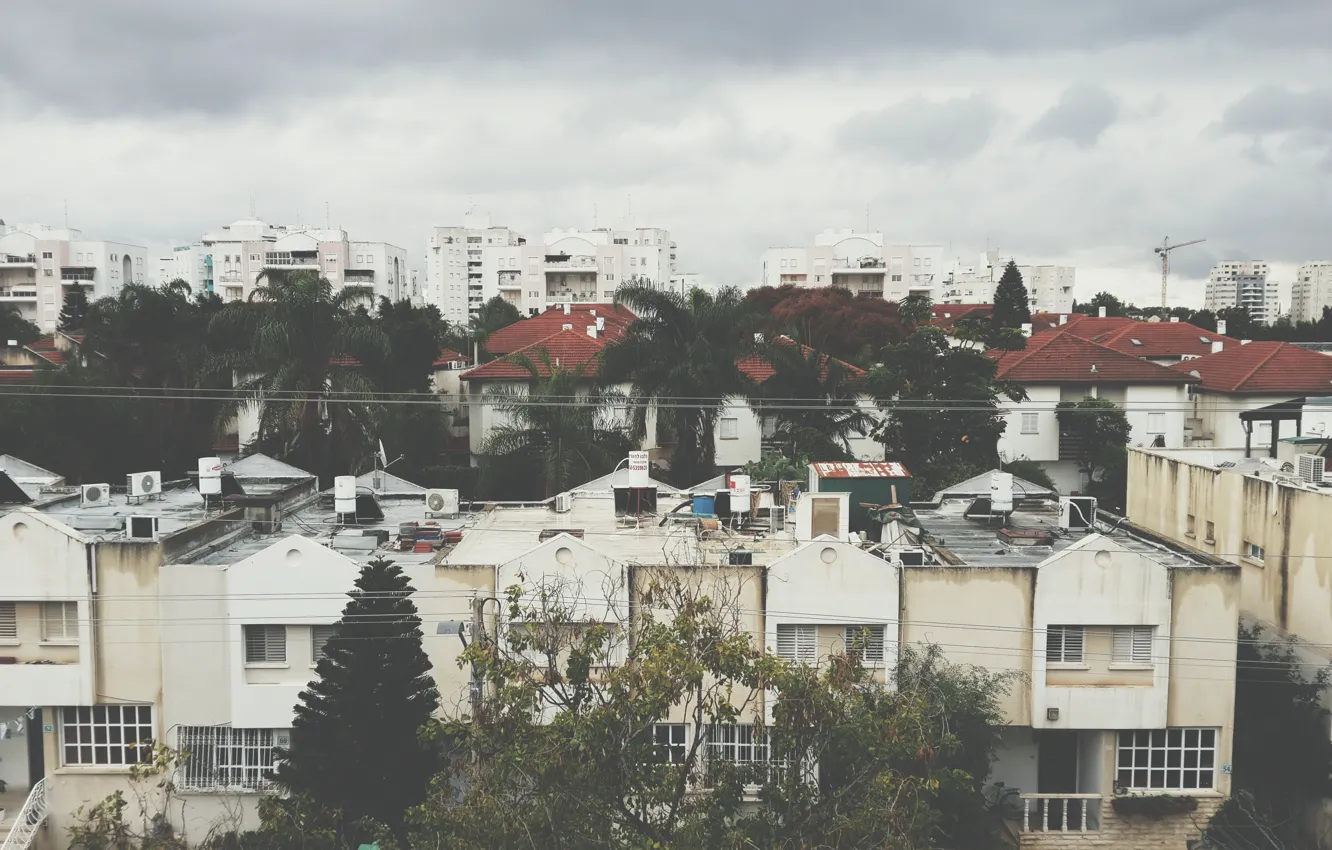 Фото обои trees, winter, clouds, buildings, Israel, Rehovot, boilers