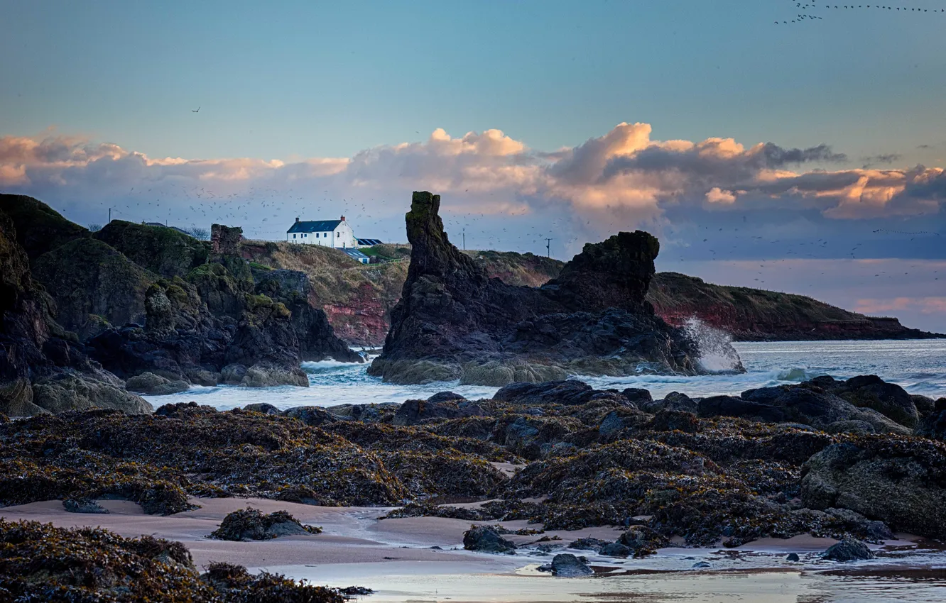 Фото обои waves, house, beach, sky, clouds, rocks, birds, moss