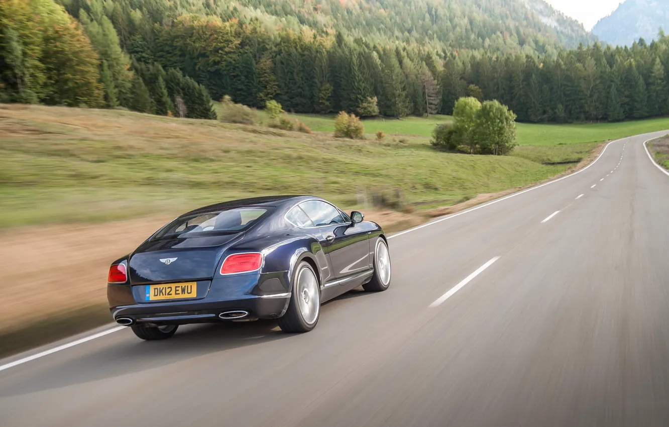 Фото обои Bentley, Continental, Дорога, Горы, Синий, Лес, Машина, Бентли