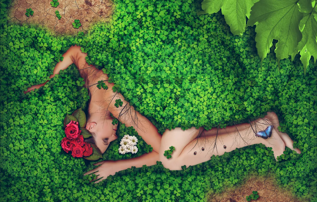 Фото обои зелень, листья, девушка, капли, цветы, роса, креатив, бабочка