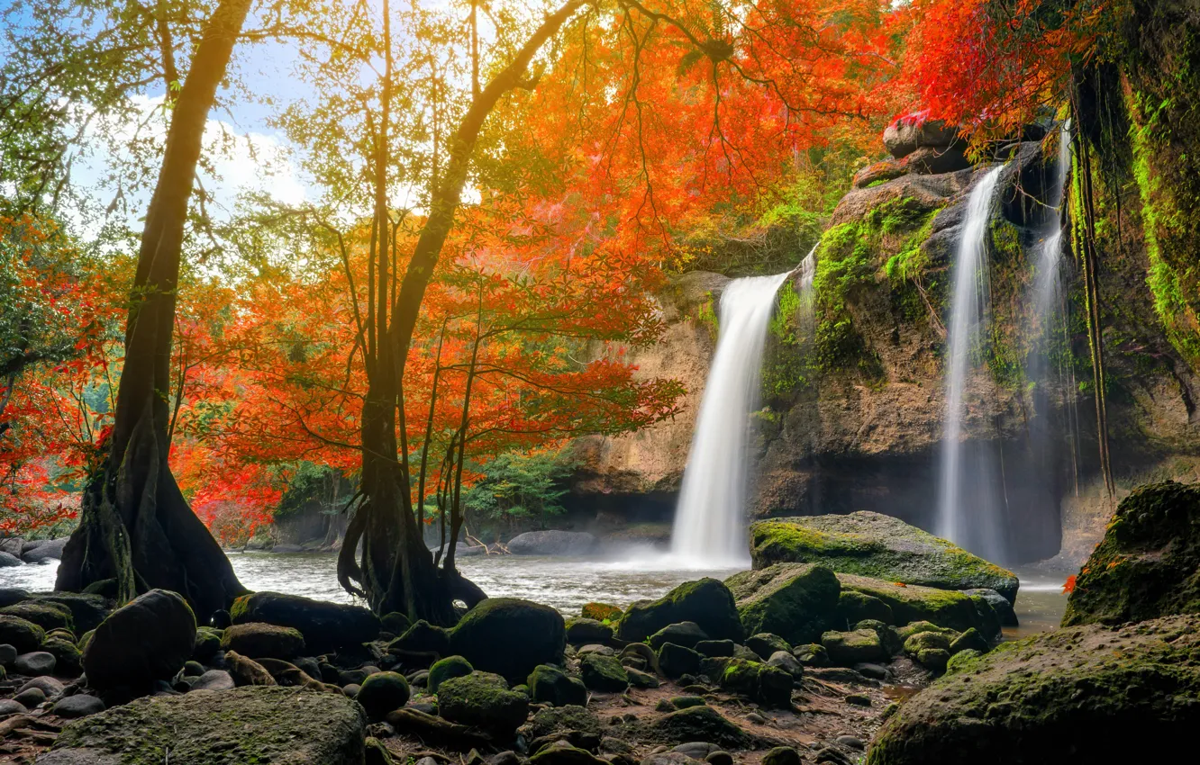 Фото обои осень, лес, вода, природа, река, водопад, forest, каскад