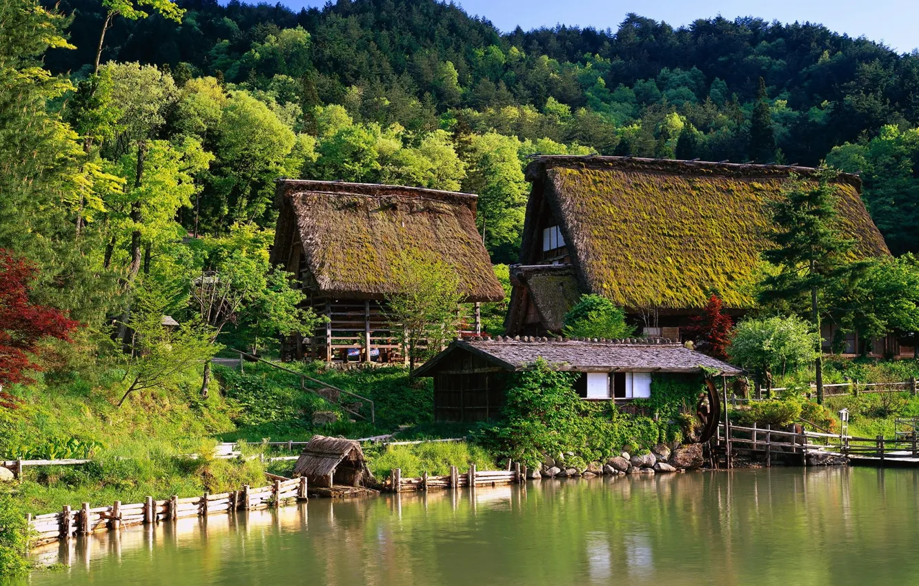 Фото обои лес, дом, Япония, Japan, беседка, houses, вода., cites