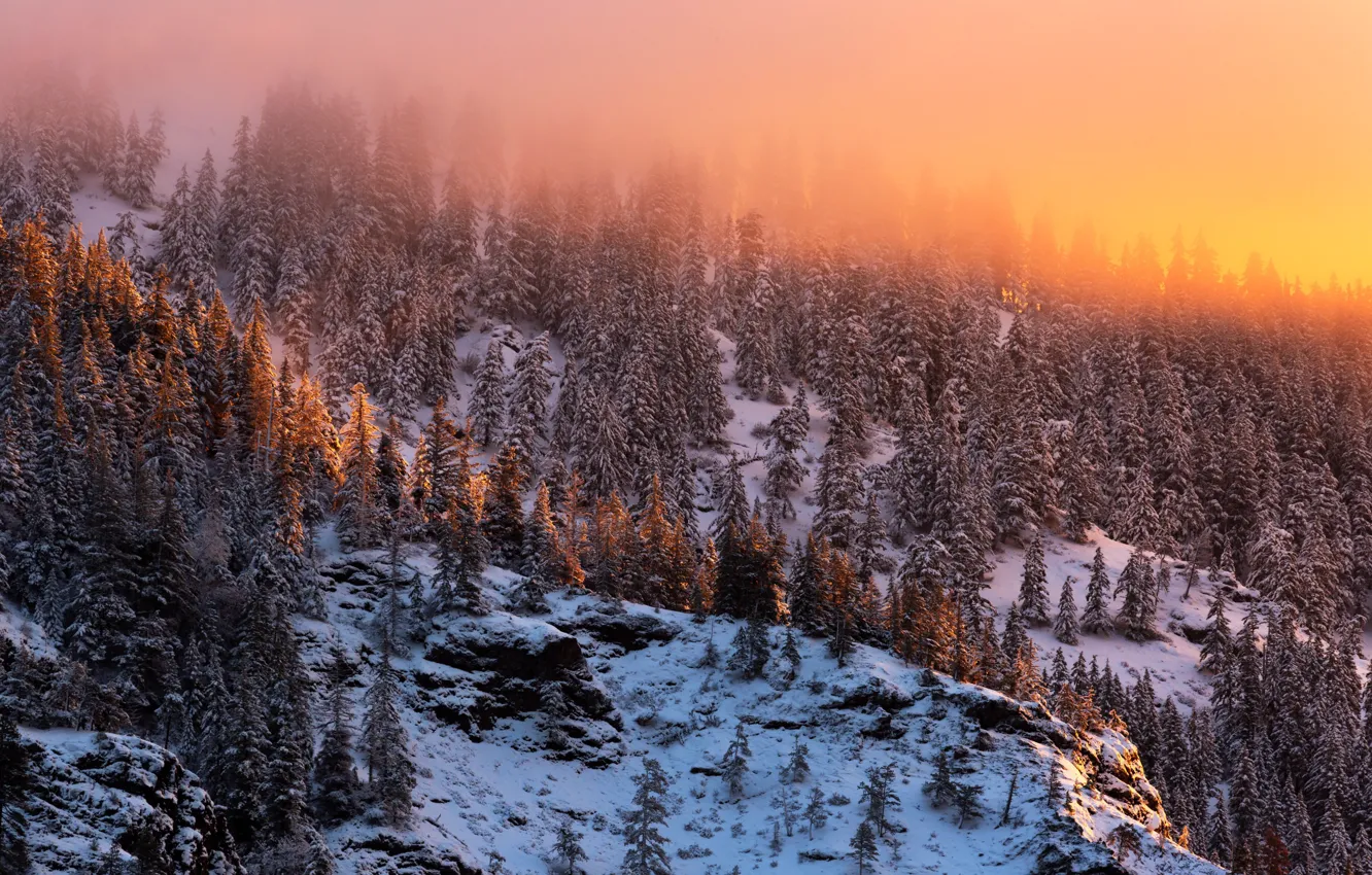 Фото обои зима, горы, туман