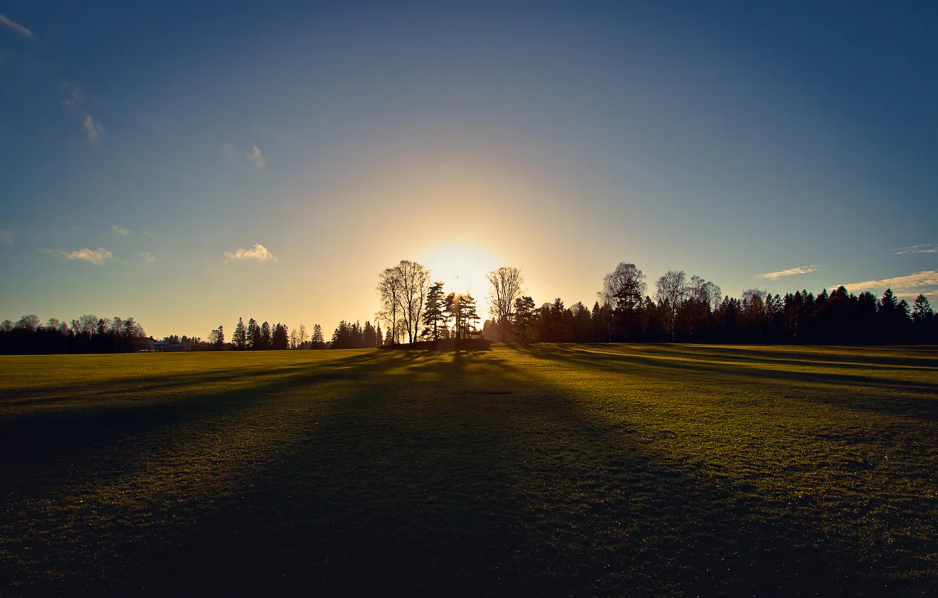 Фото обои деревья, поля, утро, trees, field, morning, Осло, Oslo