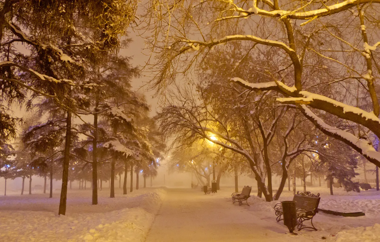 Фото обои иней, снег, ночь, туман, лавочка, фонарь, Новый год, гирлянда