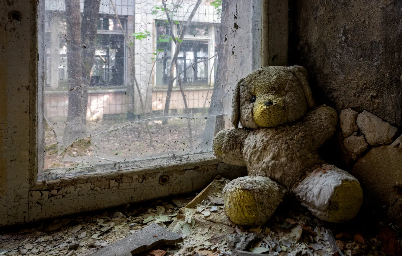 Фото обои игрушка, окно, мишка, натурализм