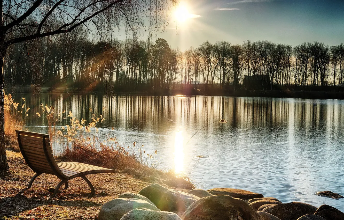 Фото обои солнце, деревья, скамейка, река, весна