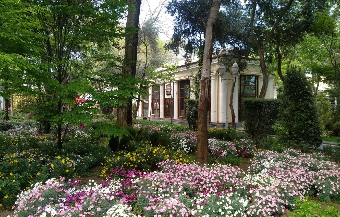 Фото обои Весна, Spring, Азербайджан, Azerbaijan, Baku, Баку, Губернаторский сад