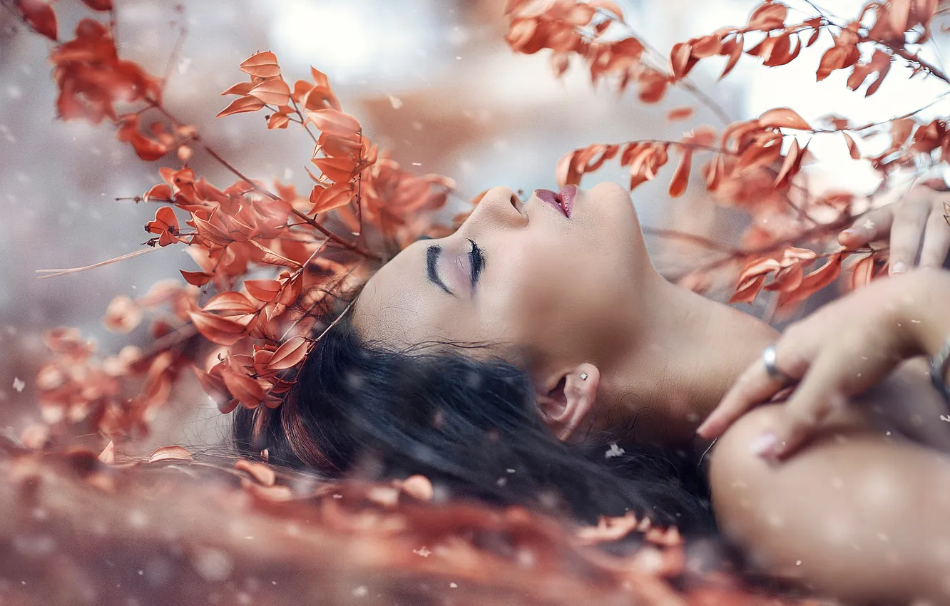 Фото обои девушка, профиль, губки, Alessandro Di Cicco, Dreams Desire