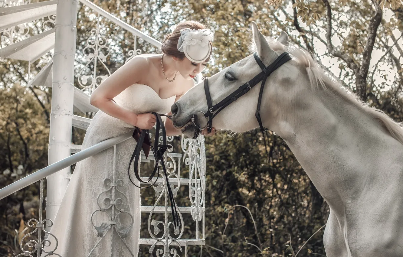 Фото обои белый, конь, лошадь, азиатка, невеста
