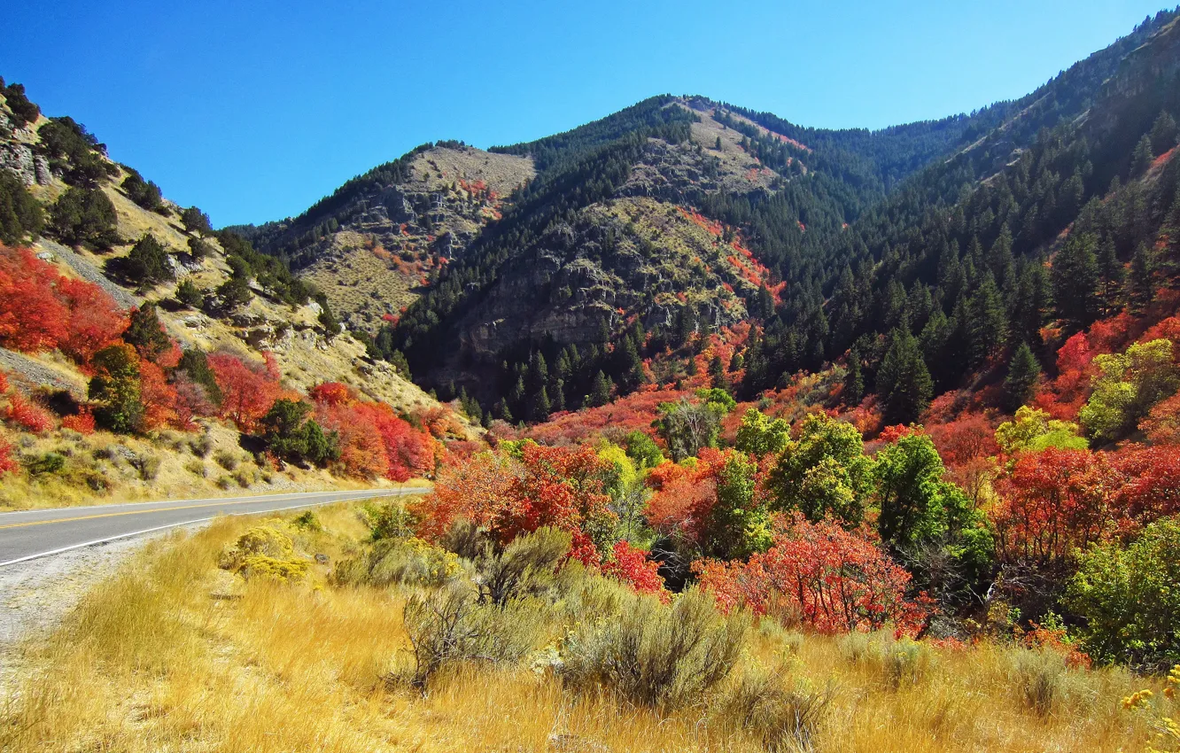 Фото обои дорога, осень, Юта, USA, США, road, autumn, Utah
