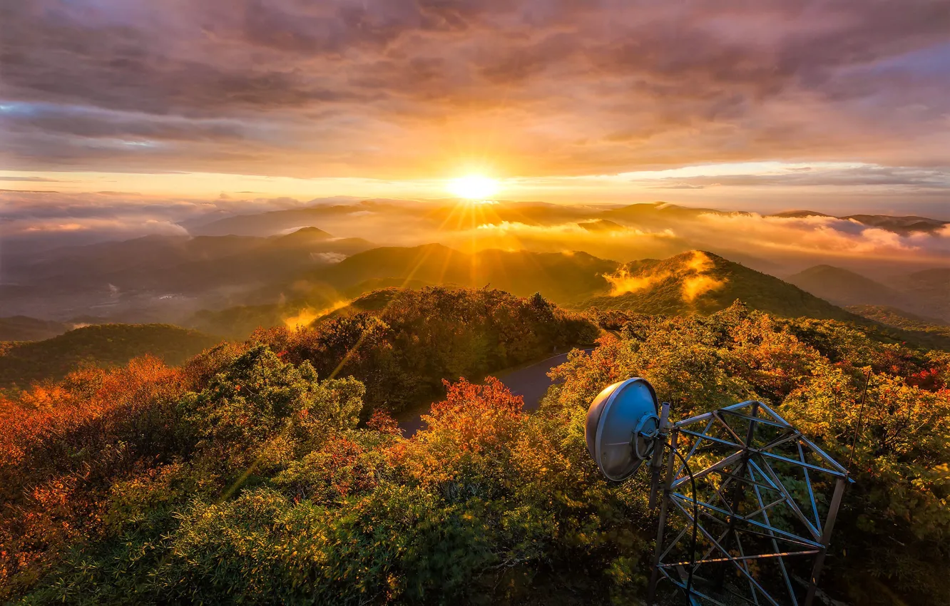 Фото обои осень, лес, солнце, свет, деревья, горы, холмы, листва