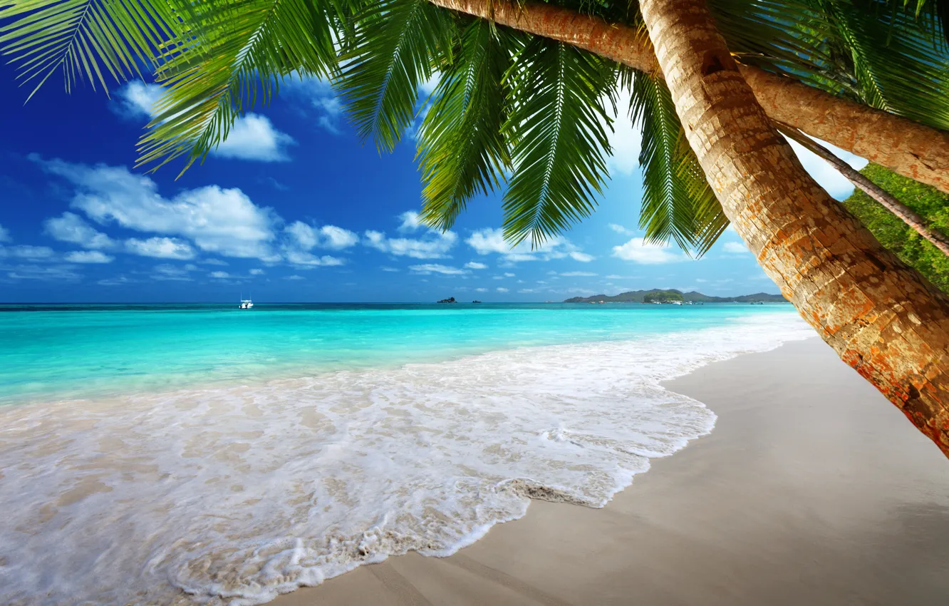 Фото обои песок, море, пляж, солнце, тропики, пальмы, океан, берег