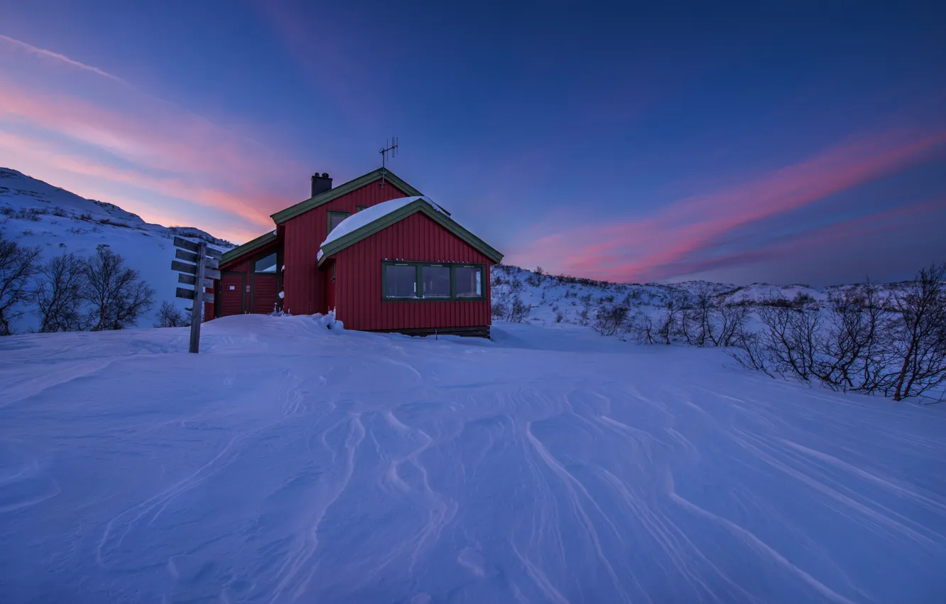 Фото обои зима, небо, снег, дом, Норвегия, кусты, Norway, Vest-Agder