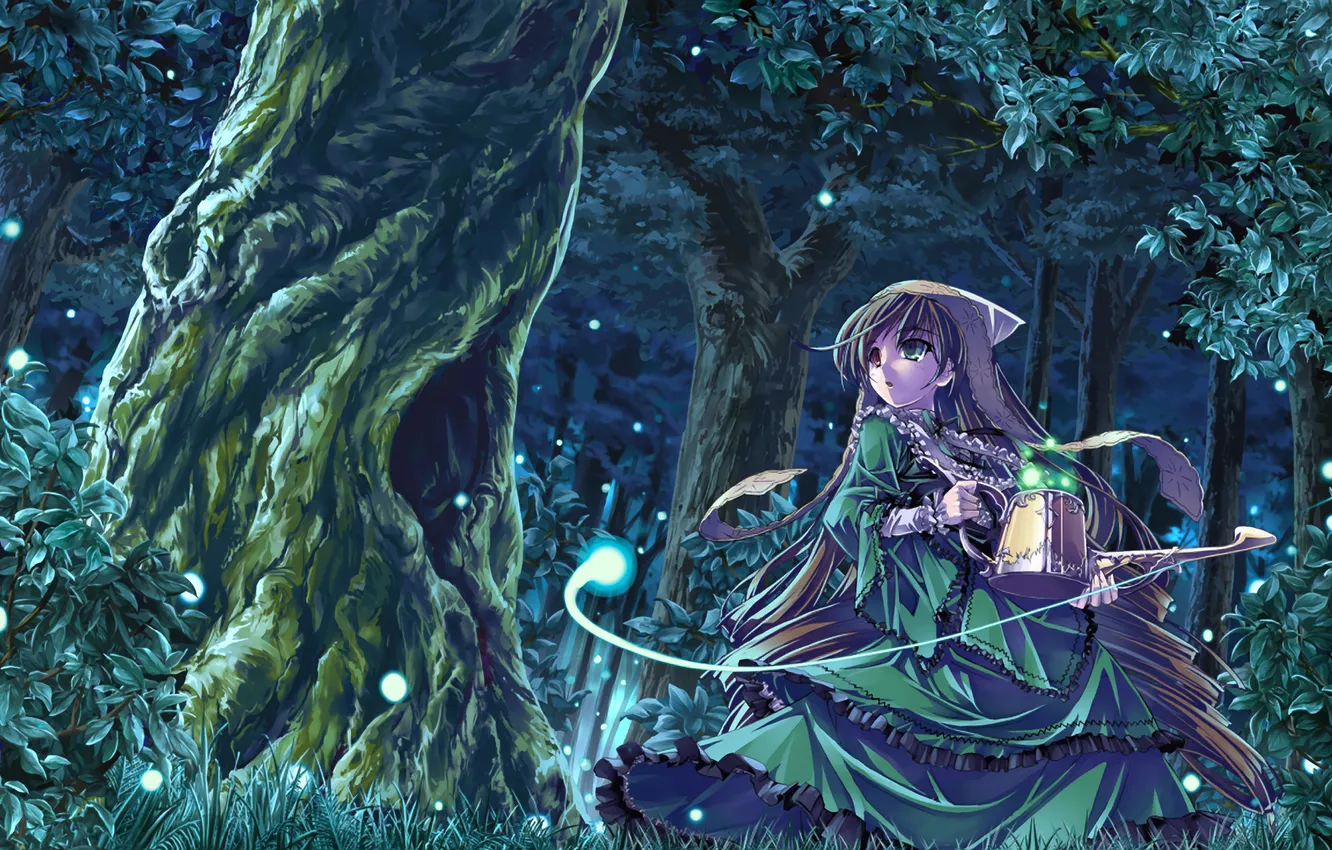 Фото обои лес, девушка, ночь, огни, фонарь, rozen maiden, suiseiseki