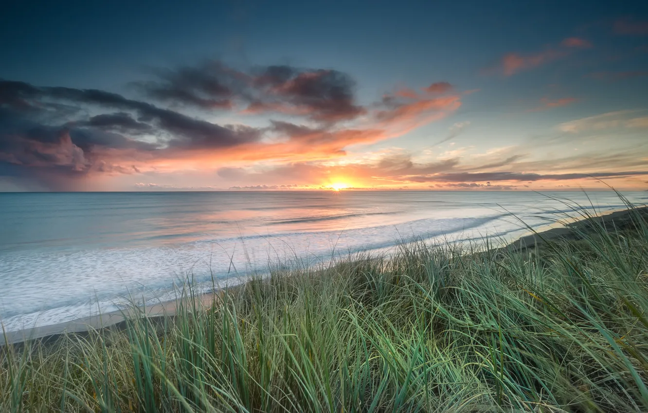 Фото обои пляж, трава, солнце, закат, Новая, Зеландия, устье, река Уаикато