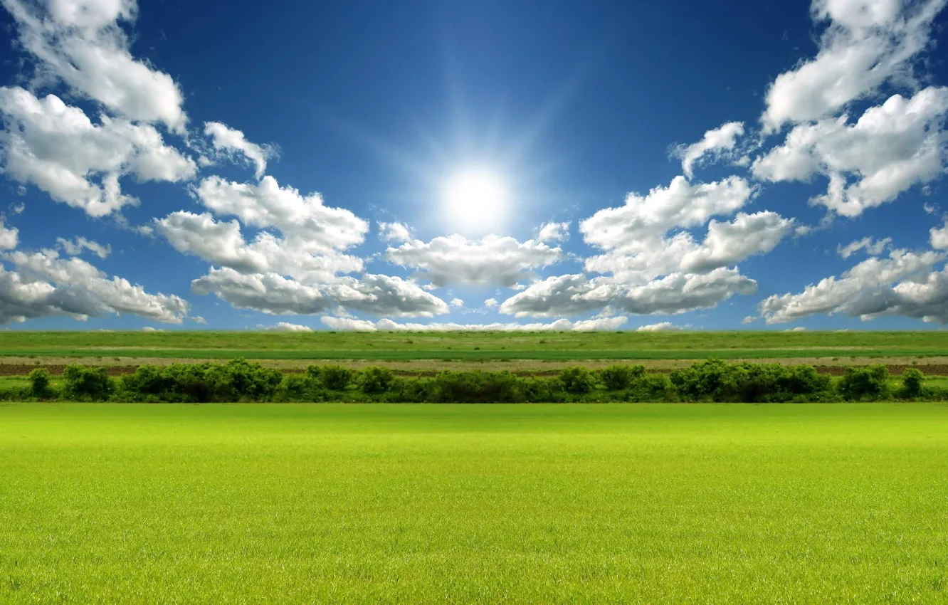 Фото обои поле, солнце, облака, 155