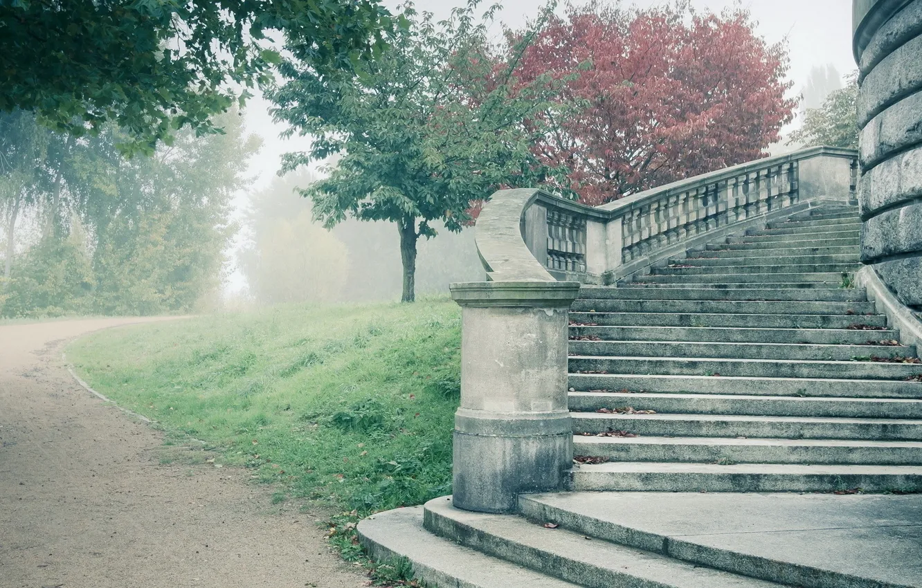 Фото обои fog, castle, stairs, ladder, steps