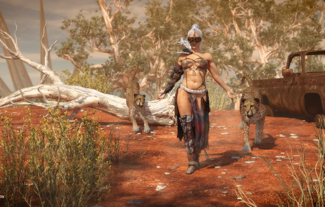 Фото обои кошки, растительность, остов, Rune, женщива, Queen of the Desert II