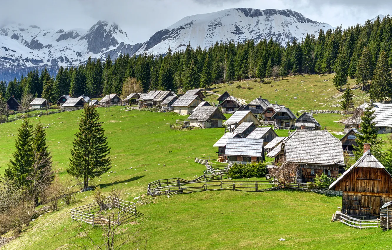 Фото обои лес, горы, поляна, домики, Словения, Pokljuka