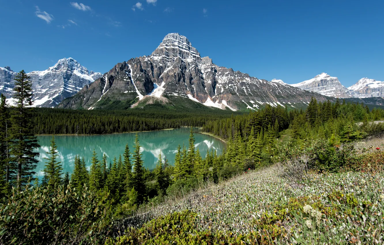 Фото обои лес, деревья, горы, озеро, Канада, Banff National Park, Банф