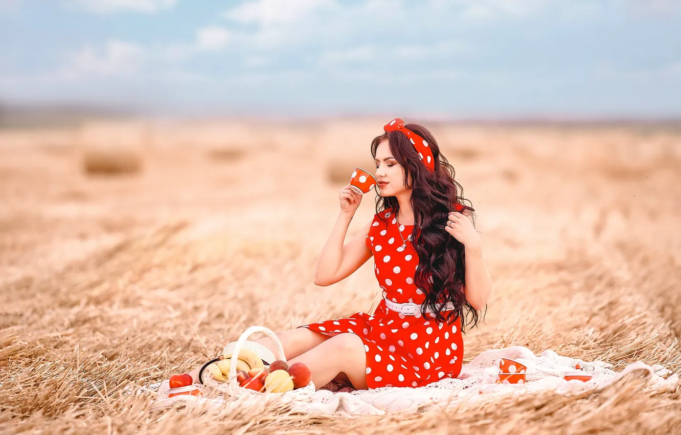 Фото обои поле, девушка, природа, корзина, платье, брюнетка, чашки, фрукты