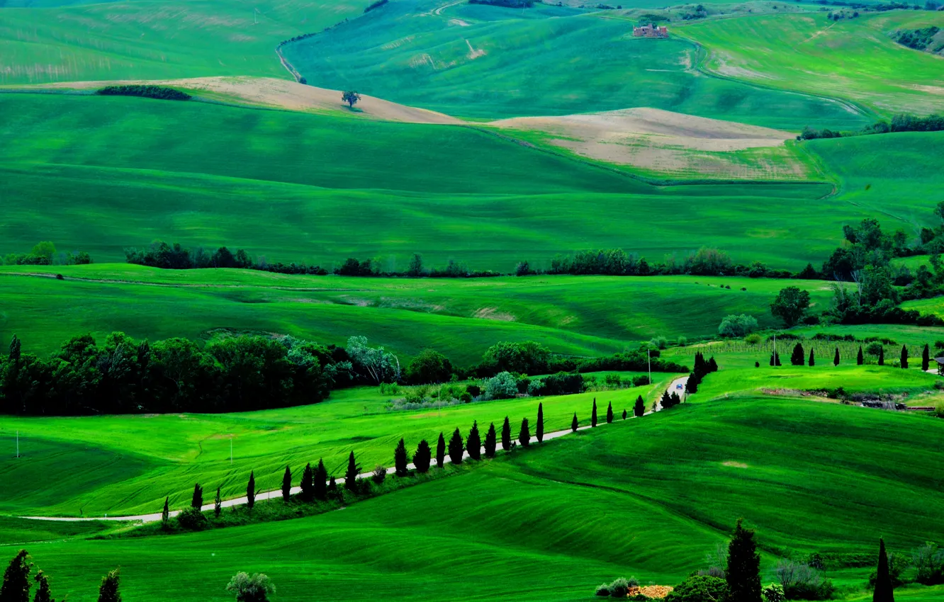 Фото обои дорога, деревья, поля, Италия, Тоскана