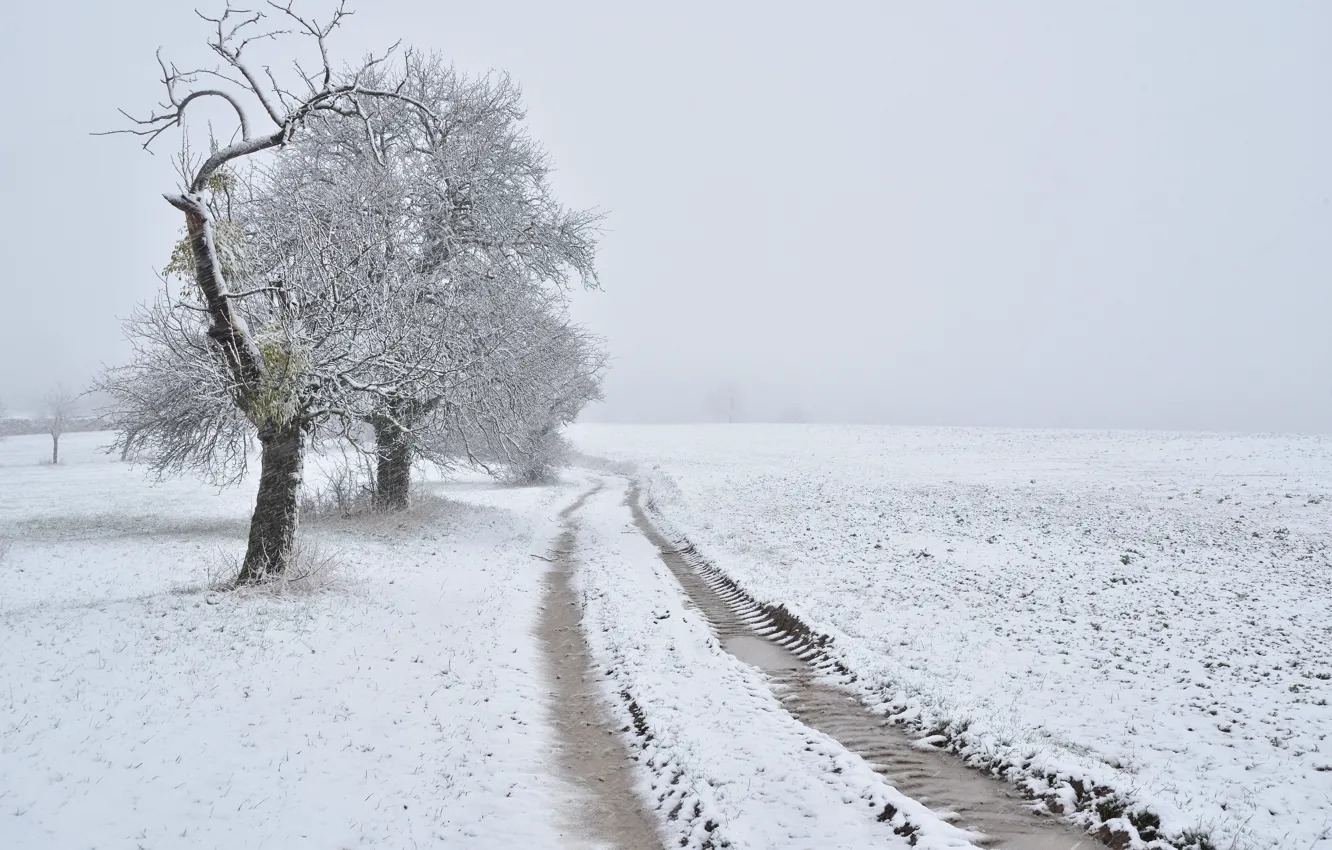 Фото обои зима, дорога, поле, снег
