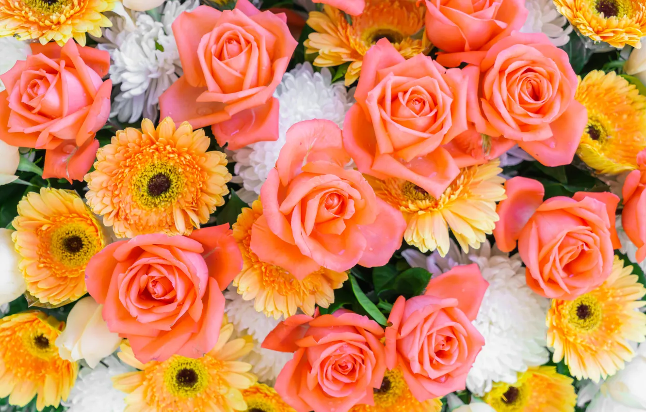 Фото обои розы, герберы, хризантемы, астры, желтые цветы, цветочный фон