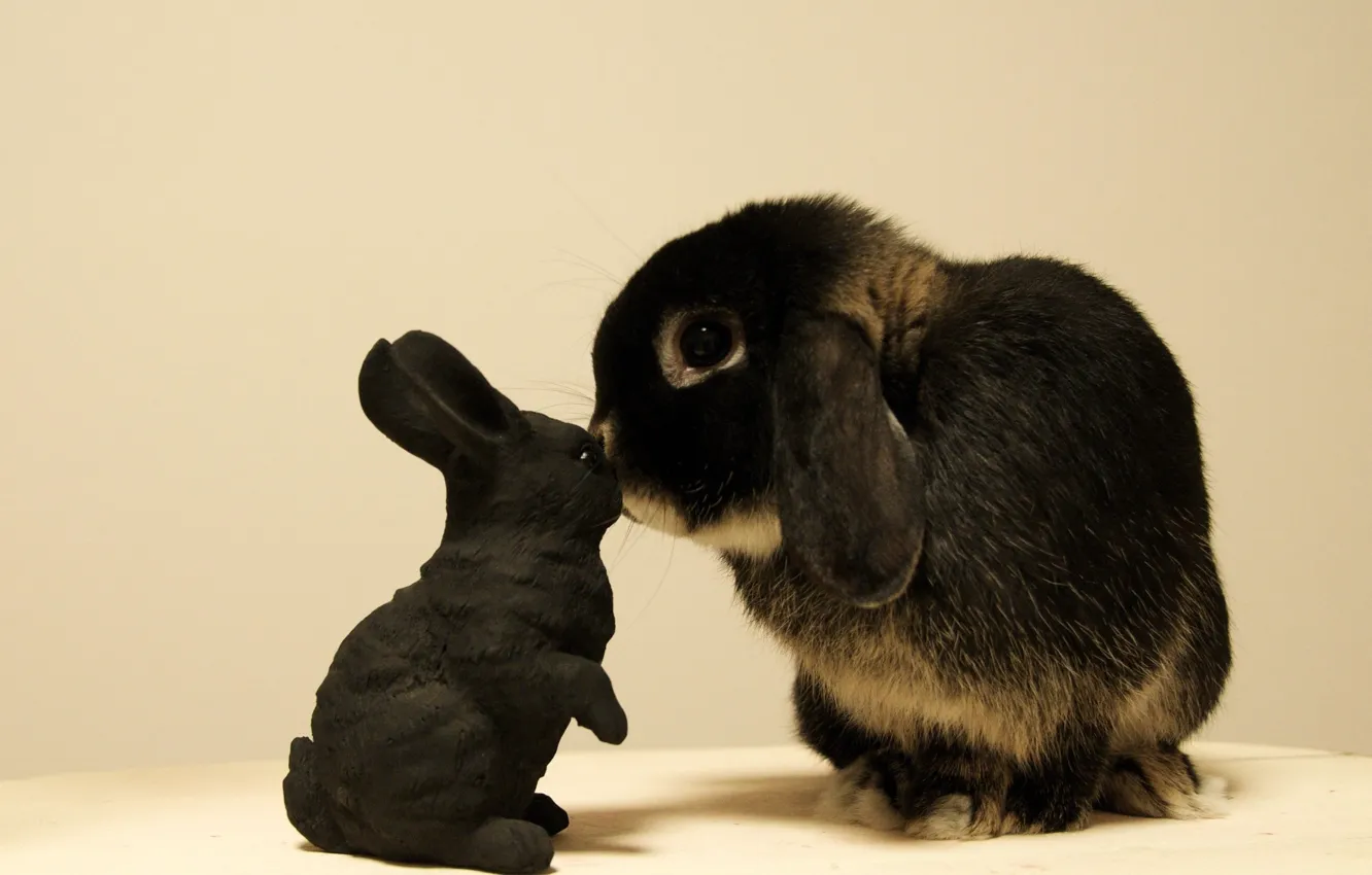 Фото обои игрушка, кролик, зайчик