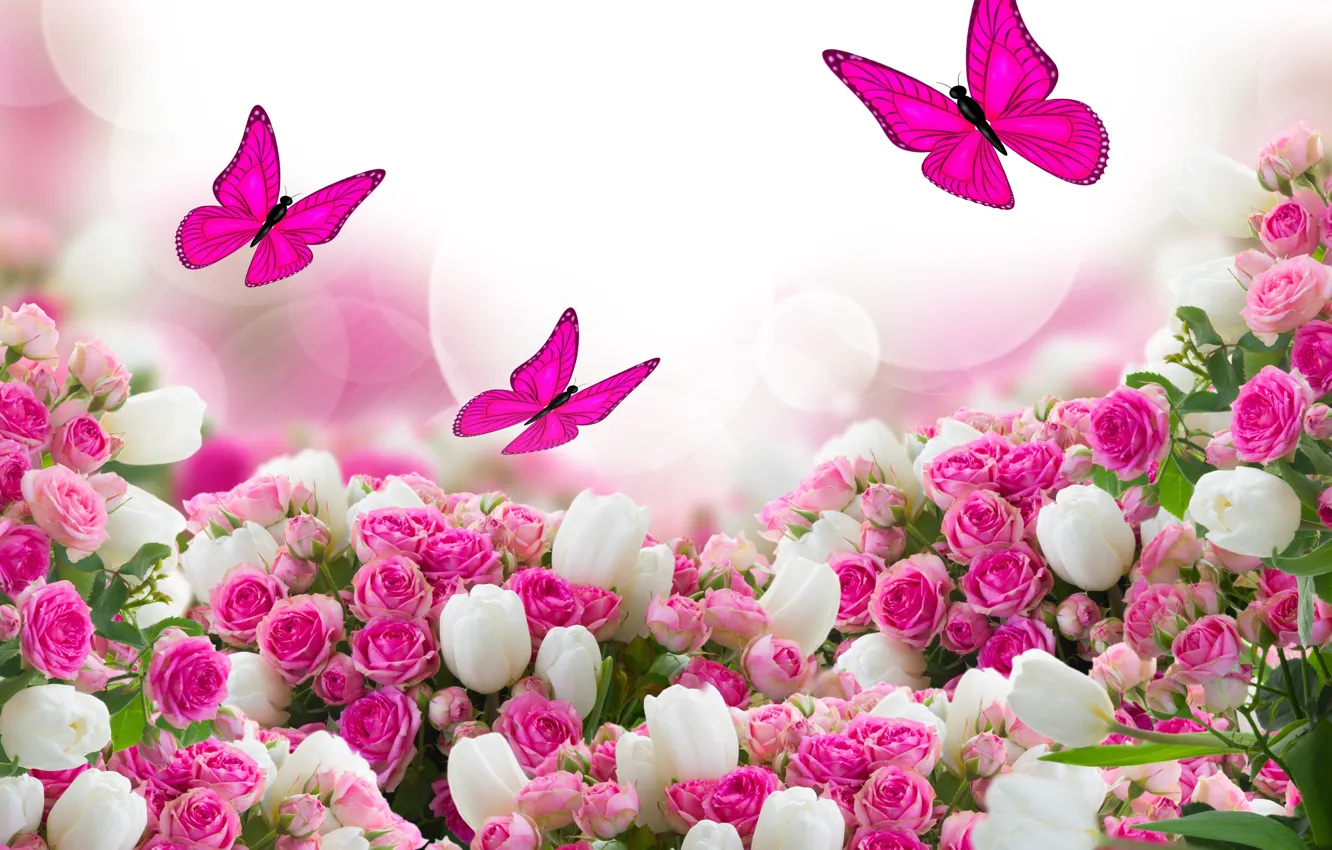 Фото обои бабочки, цветы, розы, тюльпаны, листики