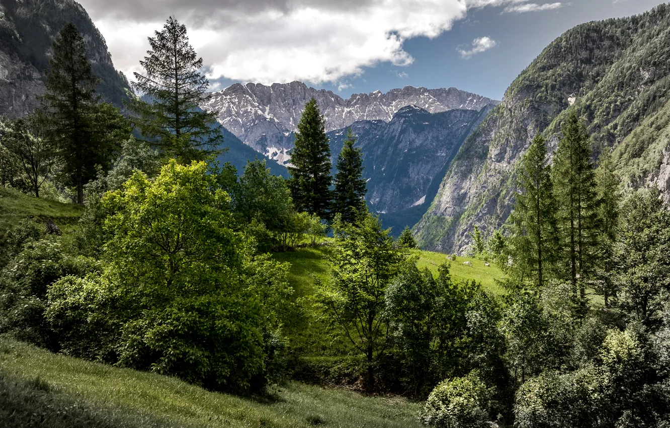 Фото обои Природа, Горы, Деревья, Словения, Trenta Valley