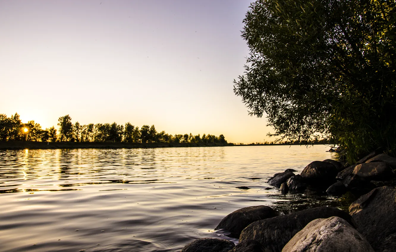 Фото обои вода, солнце, природа