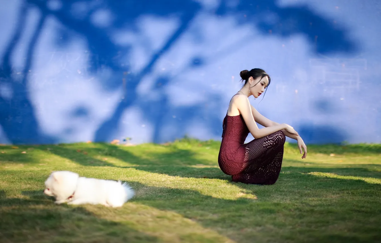 Фото обои Dog, Grass, Beautiful, Asian, Model, Wall, Woman, Lawn